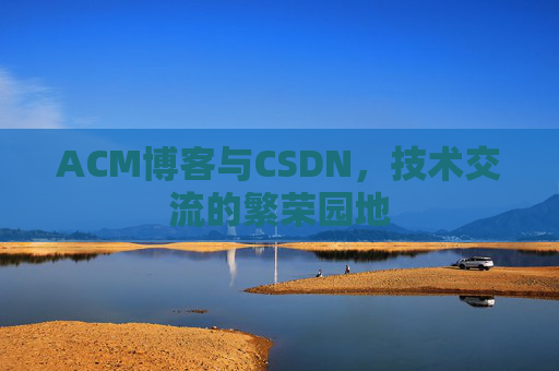 ACM博客与CSDN，技术交流的繁荣园地