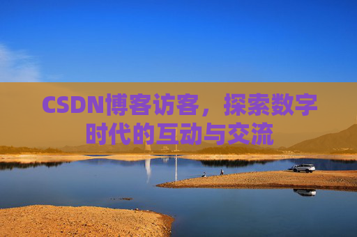 CSDN博客访客，探索数字时代的互动与交流